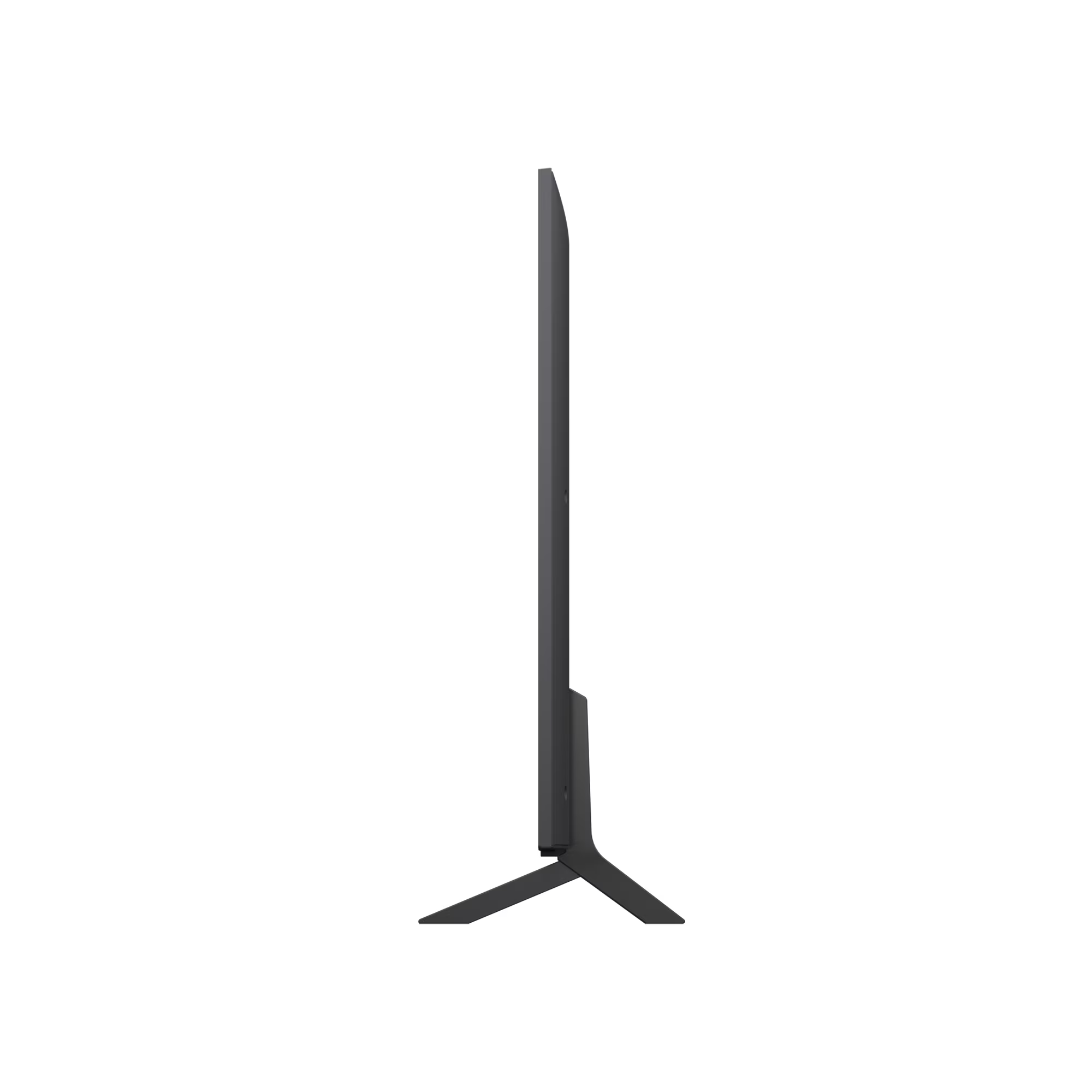 LG 나노셀 AI (스탠드형)